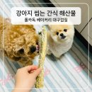 강아지 간식 추천! 폴카독 대구껍질 크런치 스틱 솔직 후기, 오래 씹는 씹을거리 찾는다면