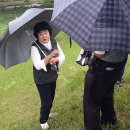 죽암리고분 이미지