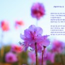 민들레하나한의원 이미지