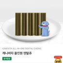 쓰리포인트덴탈 | 페스룸 VIP 👑| PETHROOM