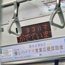 남치니(NAMCHINI) | [도쿄워홀 D+18~23] 신오쿠보 덕질 관련 신사 가서 효험보고옴, 바이토 이력서 쓰기