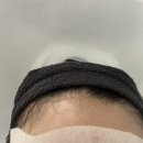 보그헤어 교보합정점 | 박승철헤어스투디오교보합정점 구원디자이너 솔직후기