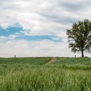 길로목장 이미지