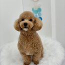 푸미미용실 네이버블로그