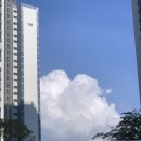 꿀복이꽈배기 광주금남점 | 행복의 기원