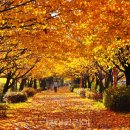 석촌근린공원 숲속놀이터 이미지