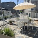 벨리하우스 이미지