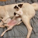 별스런 산책 이미지