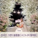 구성1 | 대전 선샤인 웨딩홀 그랜드볼룸홀 아이폰 스냅 후기 [시그니처 팔레트|1인 구성]