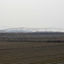 황교보건진료소 이미지