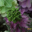 양지어린이집 이미지