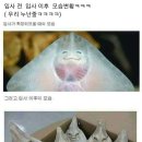 민트그린