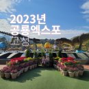 송학동-09 | 2023년 고성 공룡 세계 엑스포 사전 예매 및 가성비 숙소