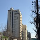 [서울 투어] 뉴블랑 센트럴 명동 호캉스 후기 - 명동 호텔 추천
