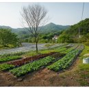 마이바베큐캠프 이미지