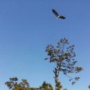 창공농장 이미지