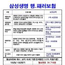 행.패러글라이딩 보험 - 삼성생명 이미지