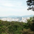 홍릉초교 이미지