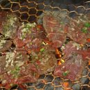 신세계축산 이미지