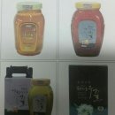 강원양봉조합 네이버블로그