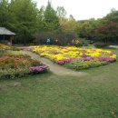 양재시민의숲 테니스장 이미지