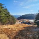 동산면사무소 이미지