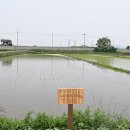 수원-1994 이미지