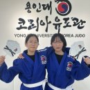 용인대 코리아 유도관 이미지