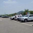 홍진식당 이미지