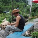 개울건너 펜션 이미지