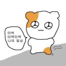 나도 고양이 생겼다 | [사알못의 사주 어플 후기] 우주고양이 보라 운세 보기 내돈내산 솔직후기