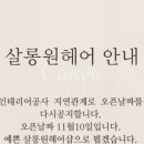 살롱원 - 군산시 | 살롱원