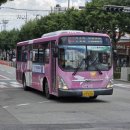 중앙초교 사거리 이미지