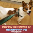 서면우체국 이미지