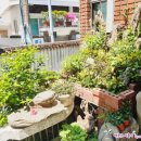 서호동-68 이미지