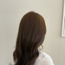 동래세무서 앞 횡단보도 | 동래 미용실 뿌리염색 후기, 밝은머리 경계 없이 자연스러운 염색