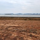 압해공인중개사사무소 이미지