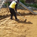 대구두류초등학교 이미지