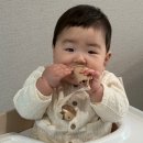 경신자유 노동조합 | 루솔 티딩러스크 후기 이앓이 아기에게 국산재료 간식 찾는다면 홀더 멘토리 조합이 답