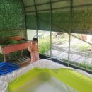 유구농장 이미지