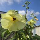 낙천리경로당 이미지