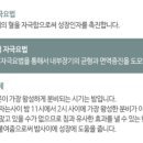 맑은숲고든몸한의원 이미지