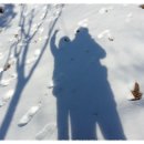 대선초교 이미지