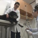 새서울농장(2) 이미지