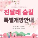 봄이 왔나 봄 이미지