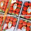 후암초교 | #진로체험 #파티셰진로체험 #6학년대상 #서울후암초등학교