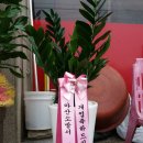 소락천반점 이미지