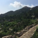 꿈의궁전 이미지