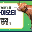한국축산 주식회사 이미지