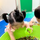 여수룬어린이집 이미지